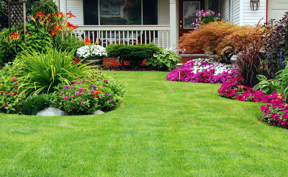 How to Boost a Property’s Value with Lawn Care